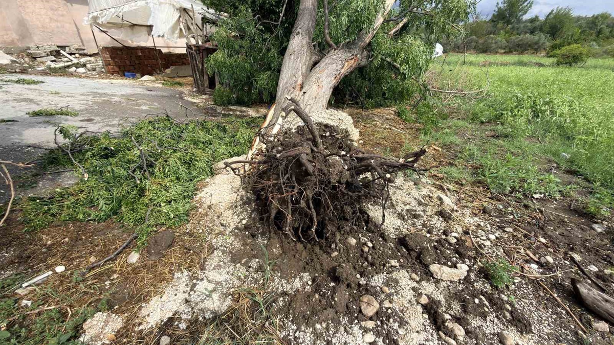 Hortum Ailesini Bahçeye Mahkûm Etti