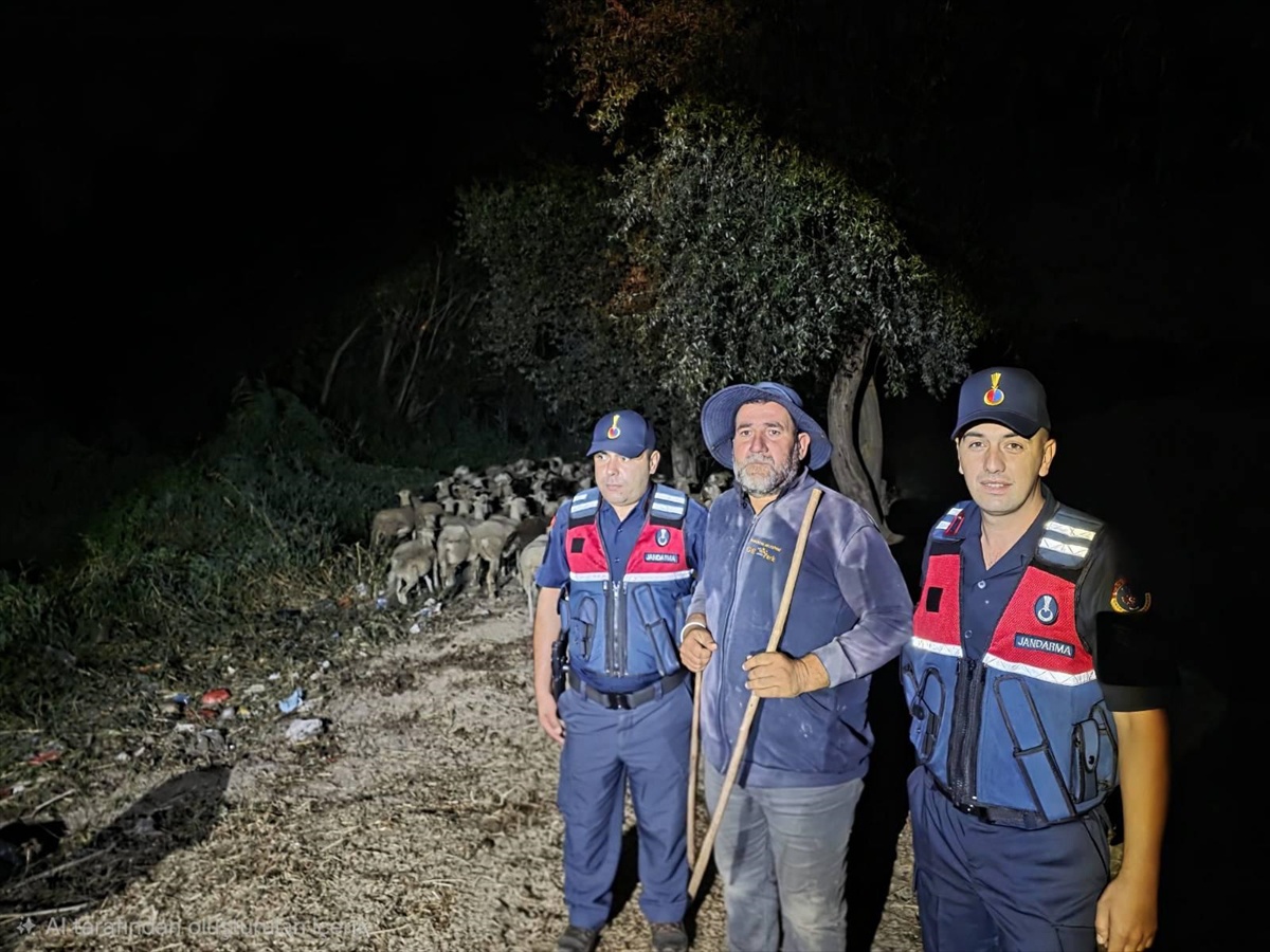 Dron ile Kaybolan Çoban Bulundu
