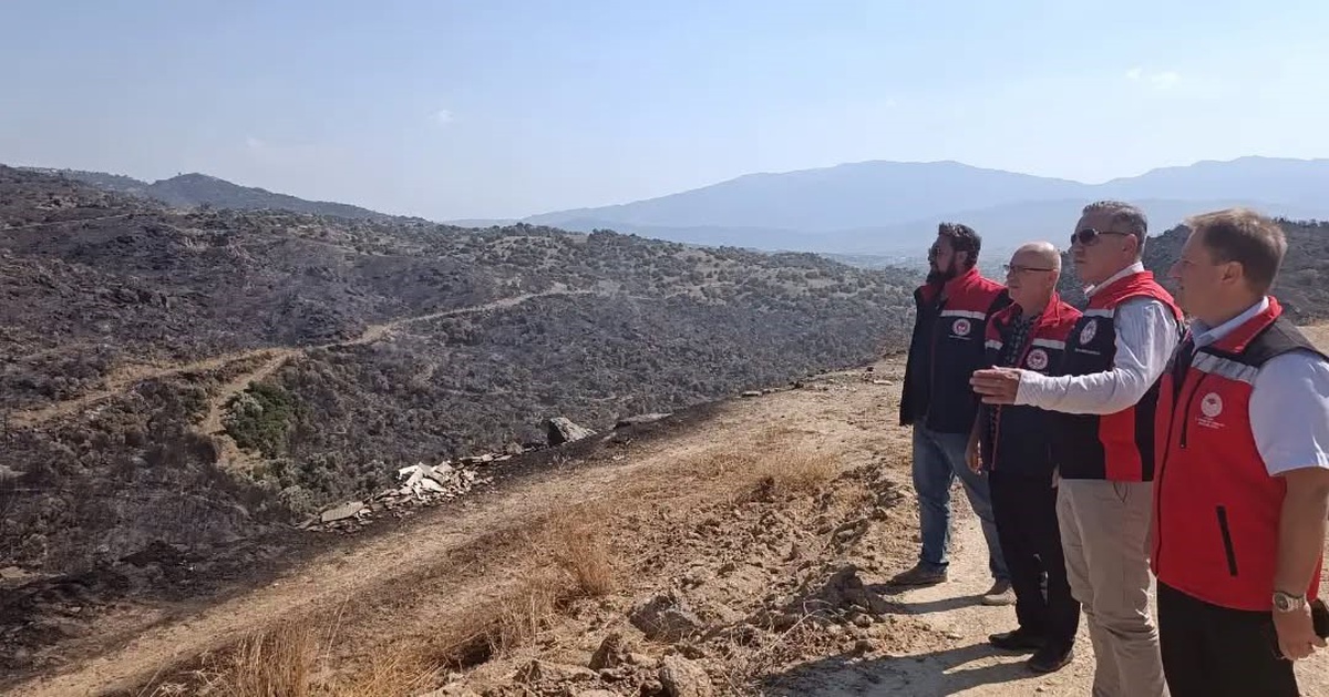 Aydın\'da Orman Yangınında Hasar Tespiti Devam Ediyor