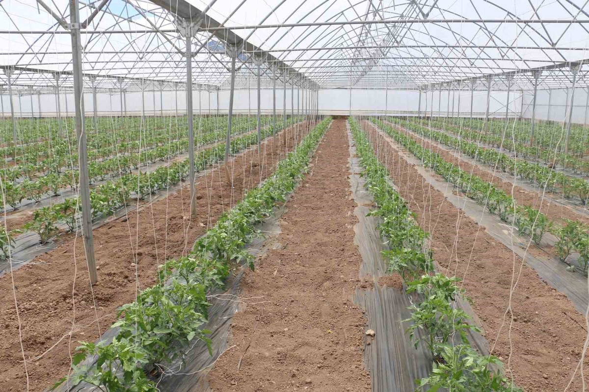 Erzincan\'da Sera Örtüsü Desteği Başladı