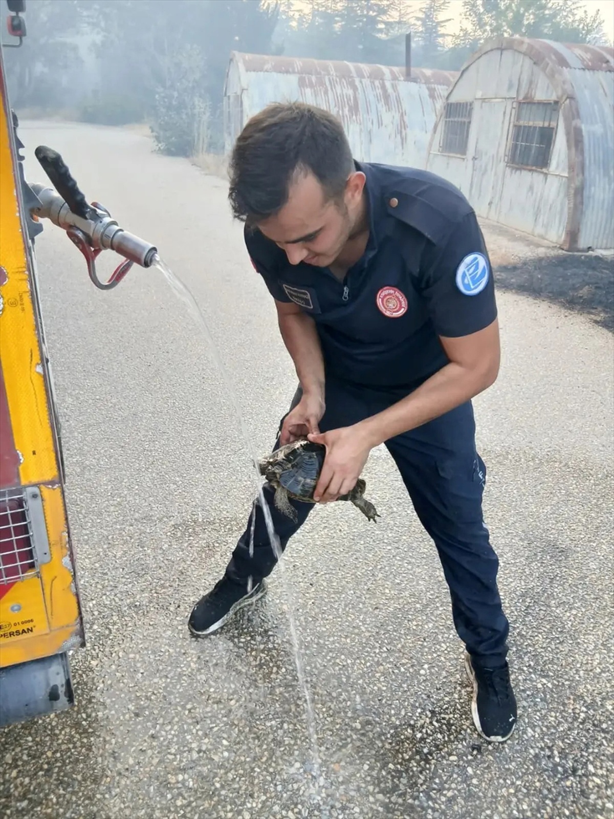 Yangından kurtarılan kaplumbağa doğaya döndü