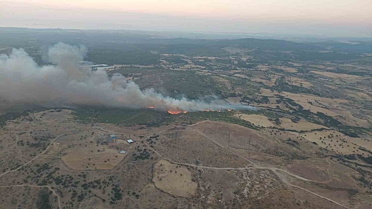 Çanakkale\'de Orman Yangını