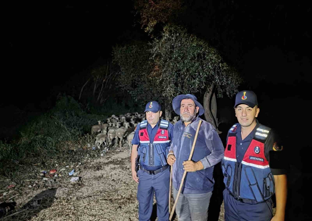 Bilecik\'te Kayıp Çoban ve Koyunlar Bulundu