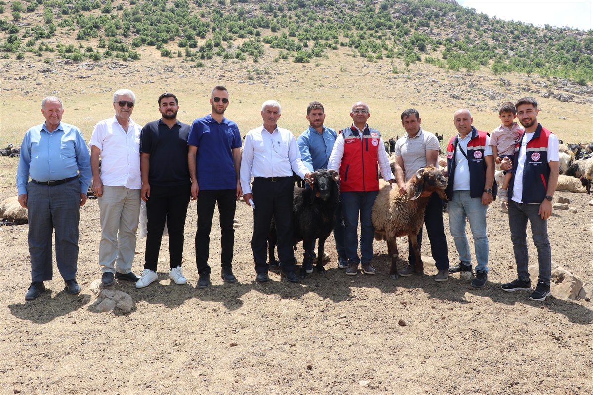 Siirt\'te Hayvancılığa Su Desteği