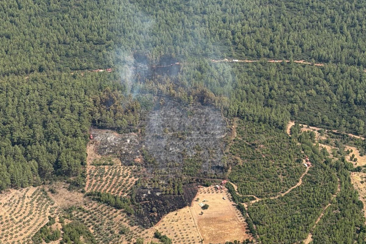 Muğla\'da Orman Yangını Kontrol Altına Alındı