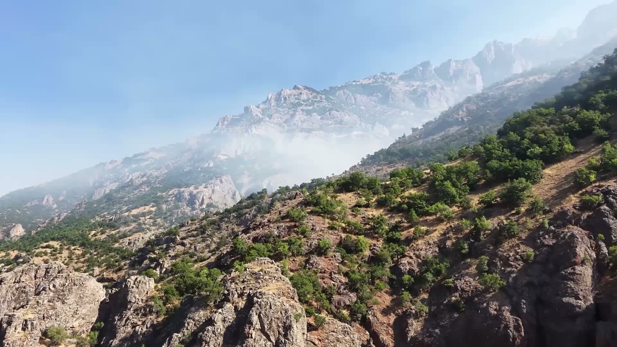 Tunceli\'de Orman Yangını Sürekleniyor