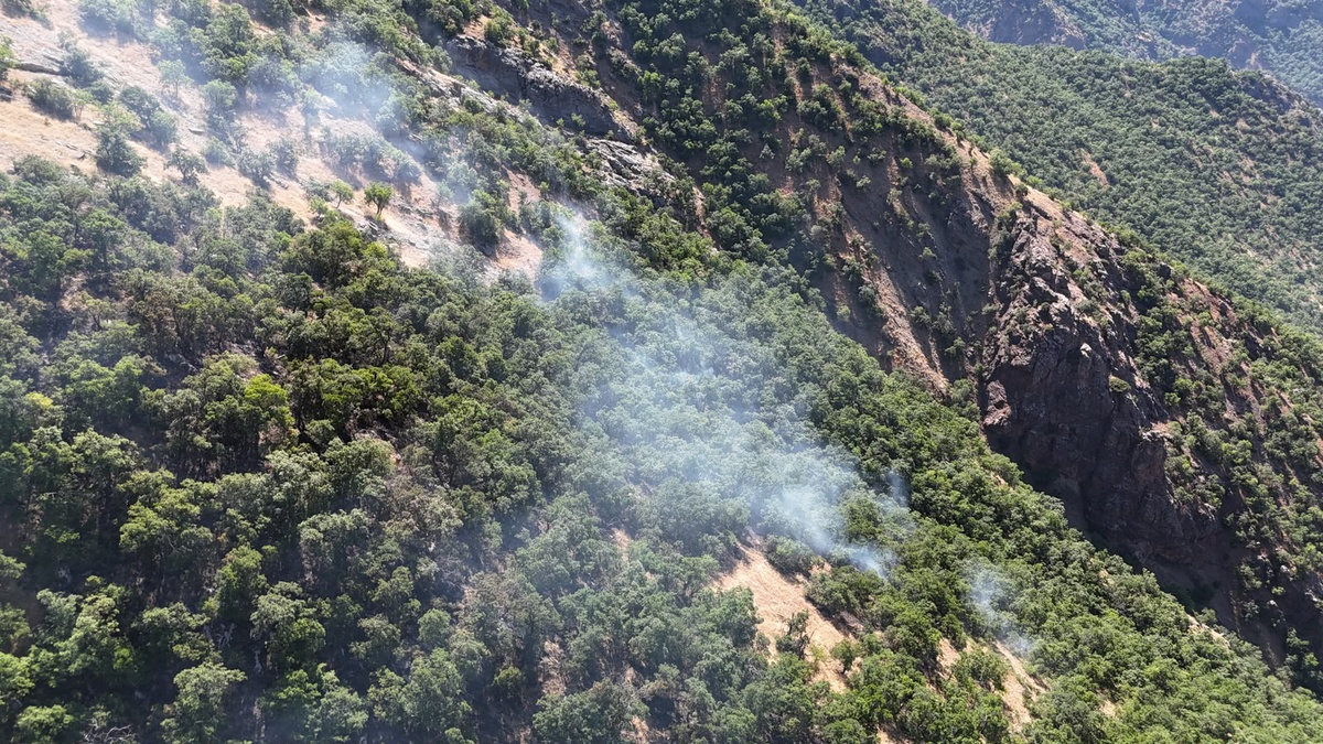 Tunceli\'de Orman Yangını Kontrol Altına Alındı