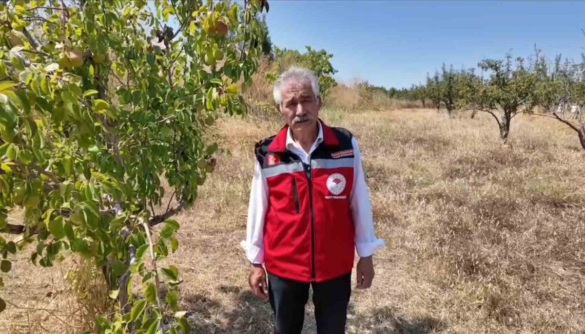 Tarla Farelerine Karşı Mücadele Çağrısı