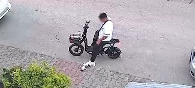 Kan donduran görüntü! Yavru kediyi önce öptü sonra boğarak öldürdü