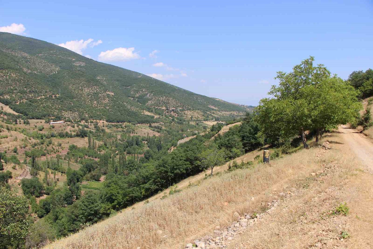 Taşova\'da Baraj Umudu 20 Yıldır Bekleniyor