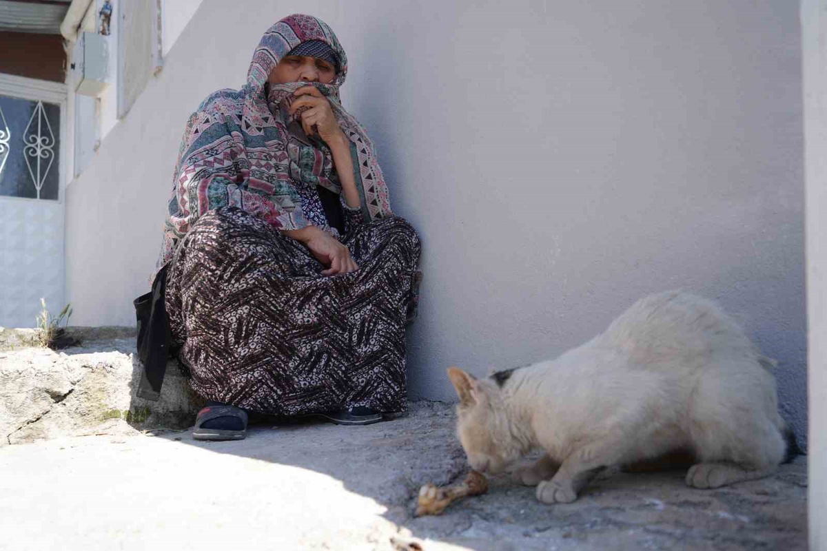 73 Yaşındaki Kadın, Kaybettiği Kedisi İçin Üzüntüde