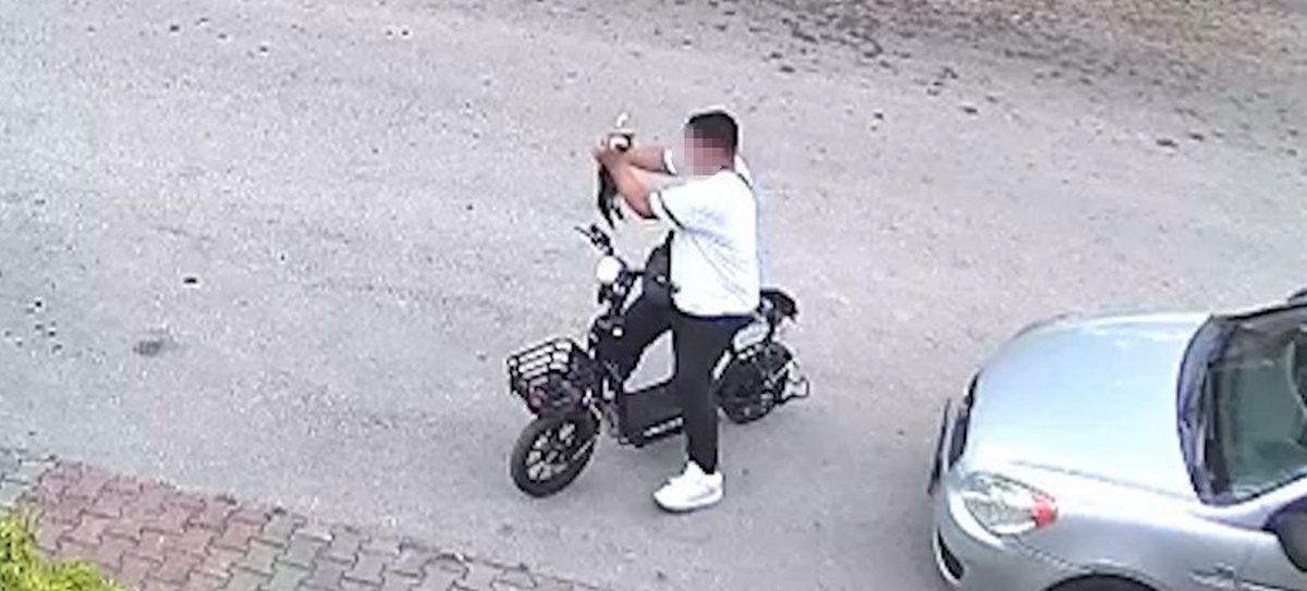 Bolu\'da Kediyi Boğan Çocuk Serbest Bırakıldı