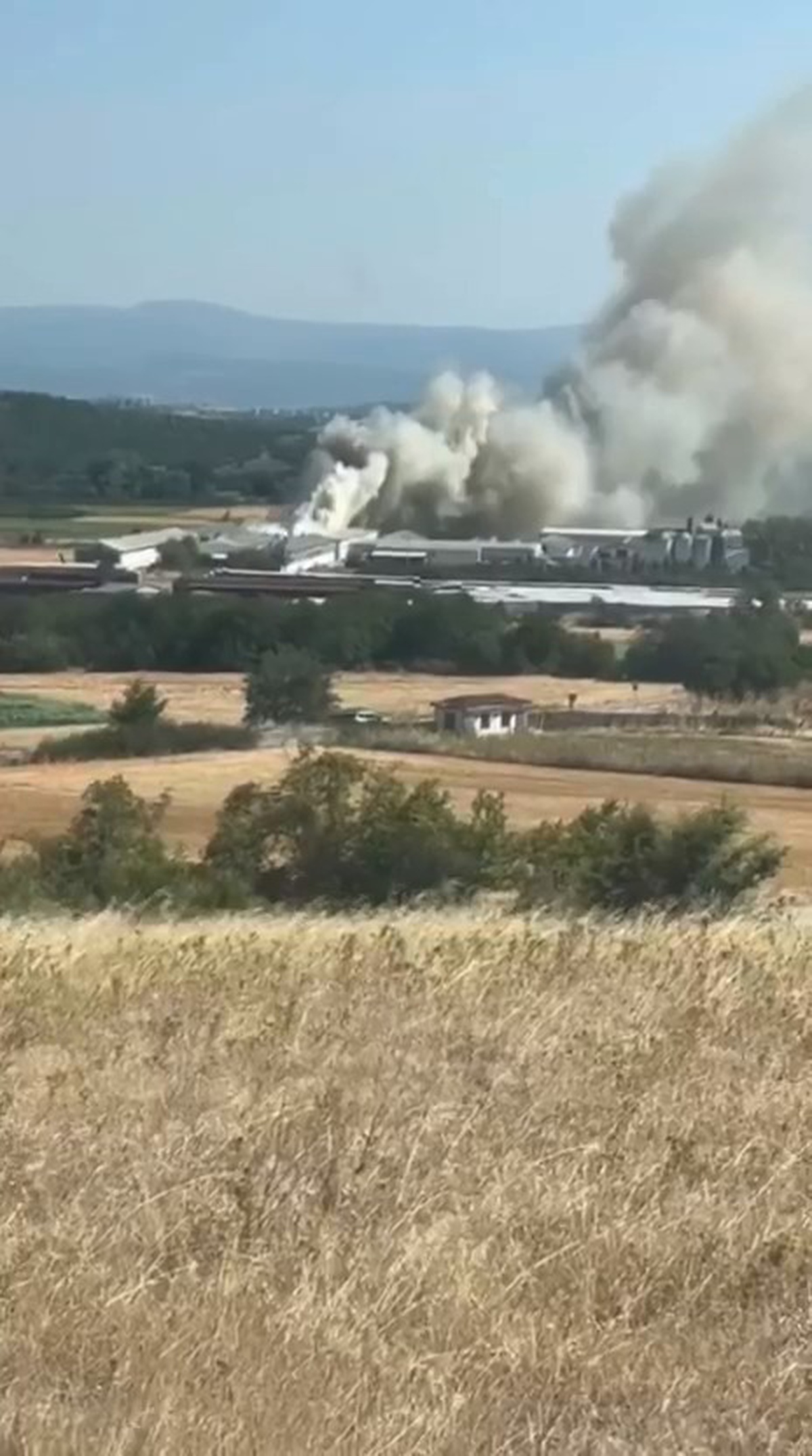 Mudanya\'da Tavuk Çiftliğinde Yangın Kontrol Altına Alındı