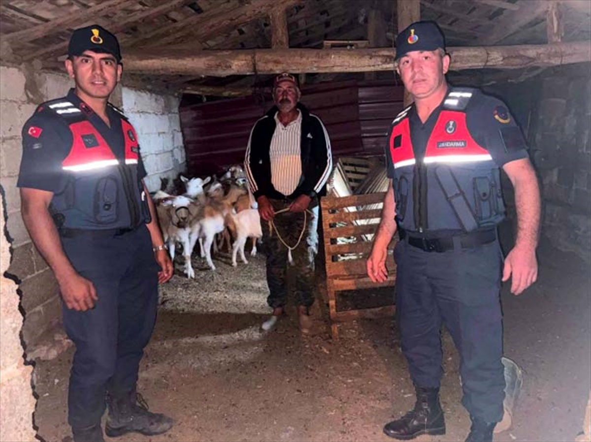 Kaybolan Keçiler Bulundu
