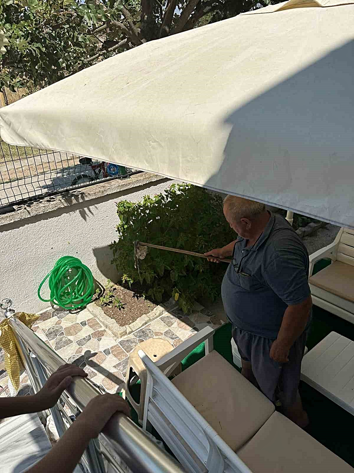 Enez\'de Yılan Tedirginliği
