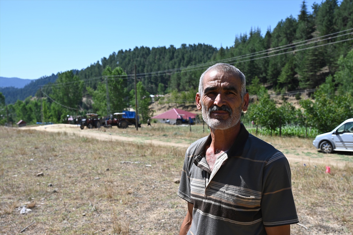 Andırın\'da İmece Usulü Buğday Hasadı