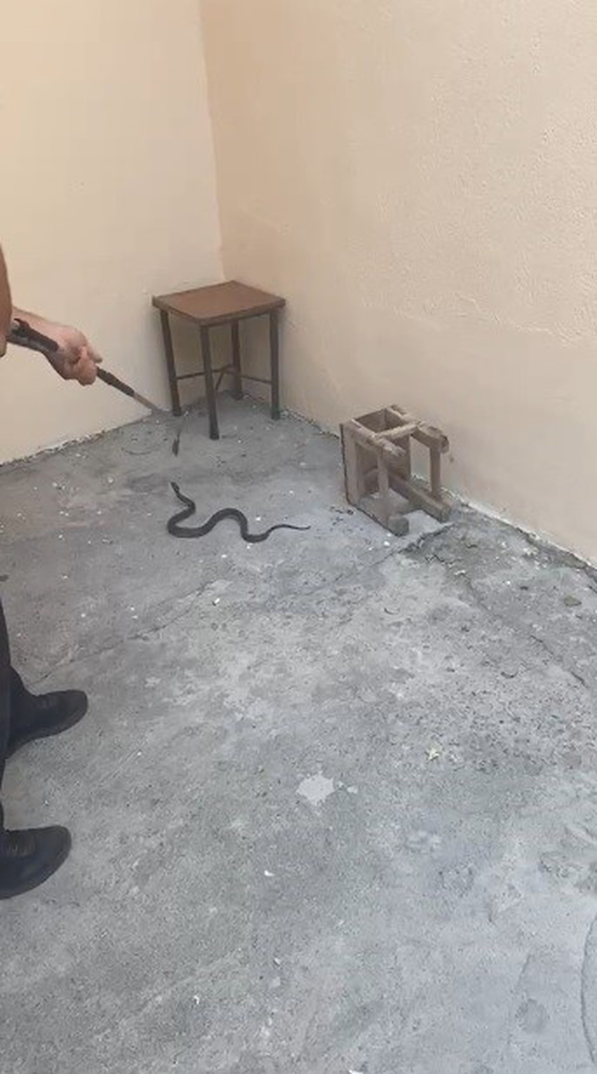 Kars’ta evin bahçesine giren yılan itfaiyeyi harekete geçirdi