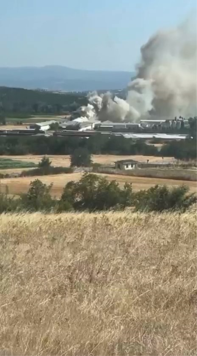 Mudanya'da tavuk çiftliğinde yangın: 12 bin tavuk telef oldu