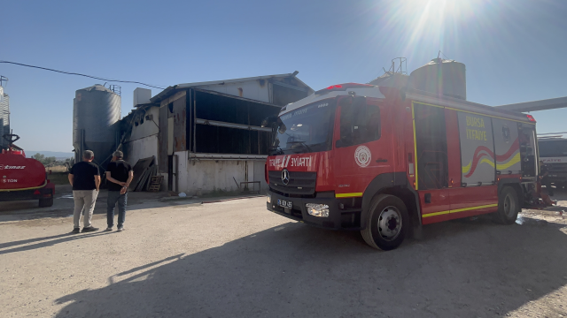Mudanya'da tavuk çiftliğinde yangın: 12 bin tavuk telef oldu