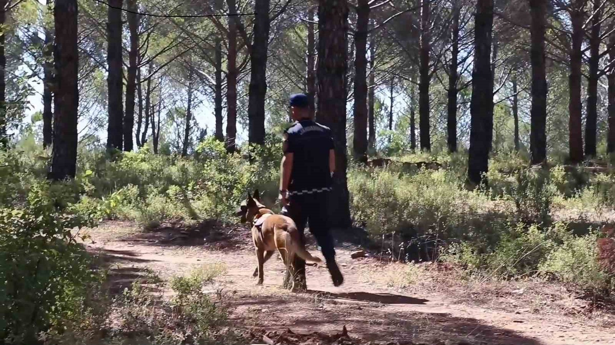 Muğla\'da Orman Yangınları İçin Sıkı Denetim