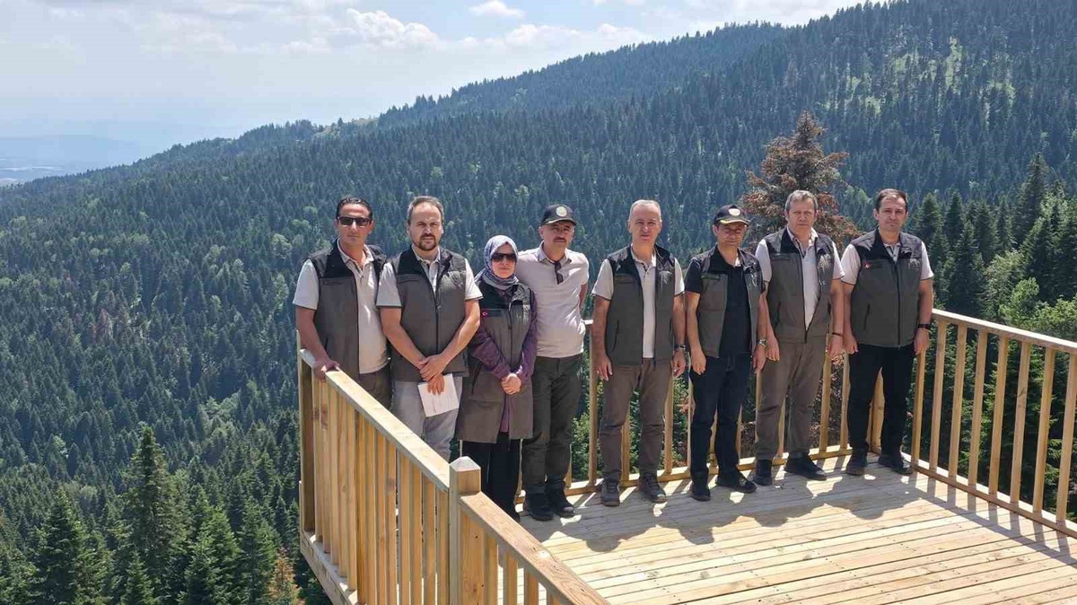 Tufanoğlu Zonguldak\'ta Orman Çalışmalarını İnceledi