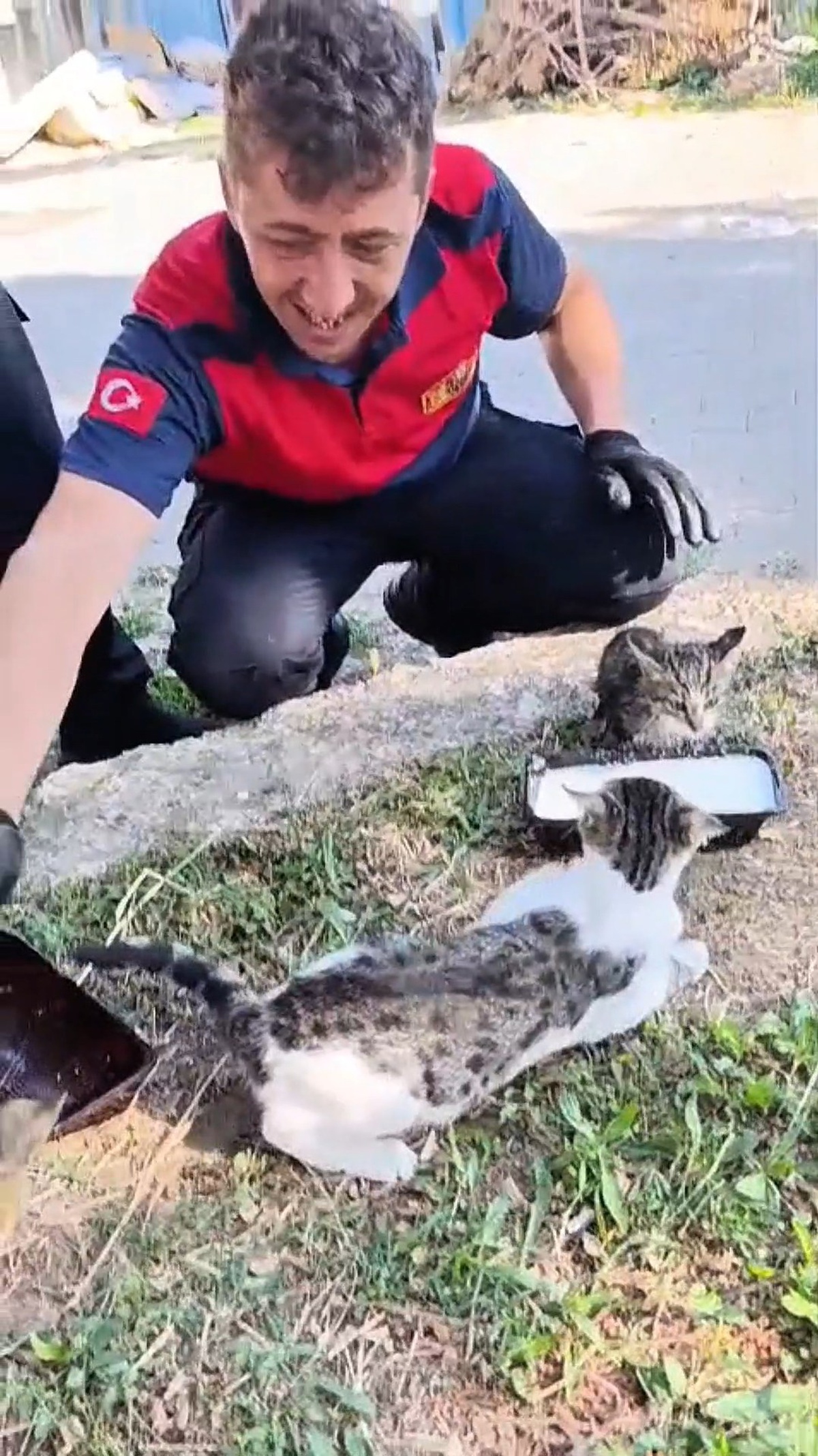 Rögar Çatlağında Mahsur Kalan Kedi Kurtarıldı