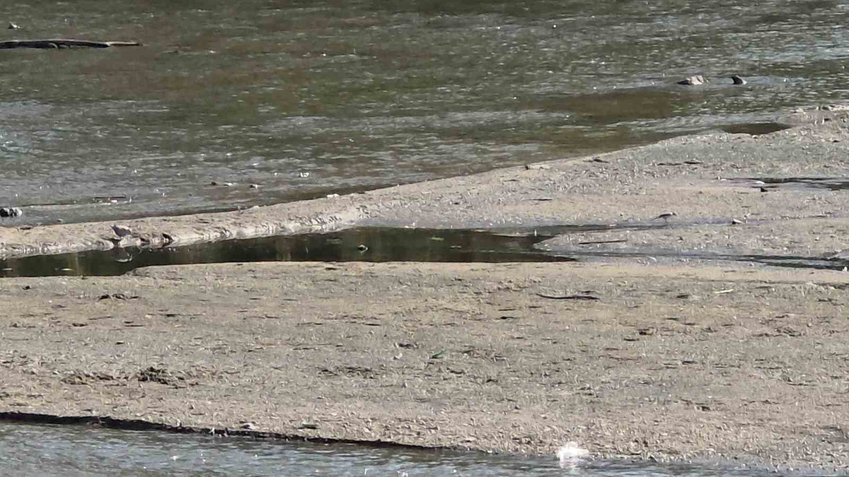 Tunca Nehri\'nde Su Seviyesi Düştü