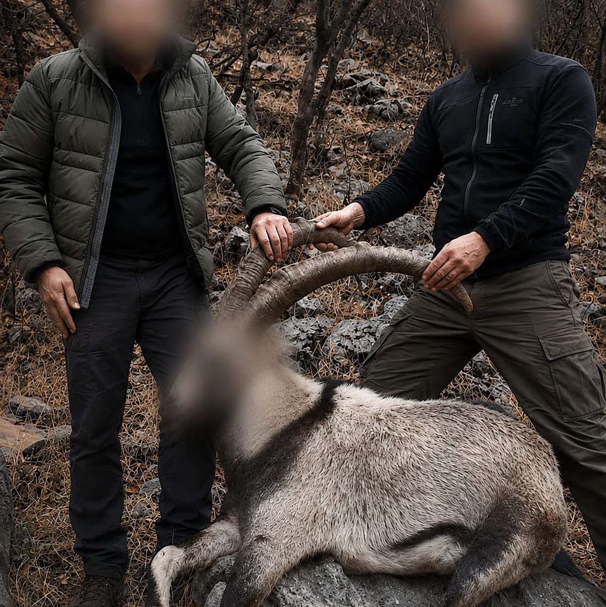 Yasa Dışı Avlanan Yaban Keçileri İçin Cezalar