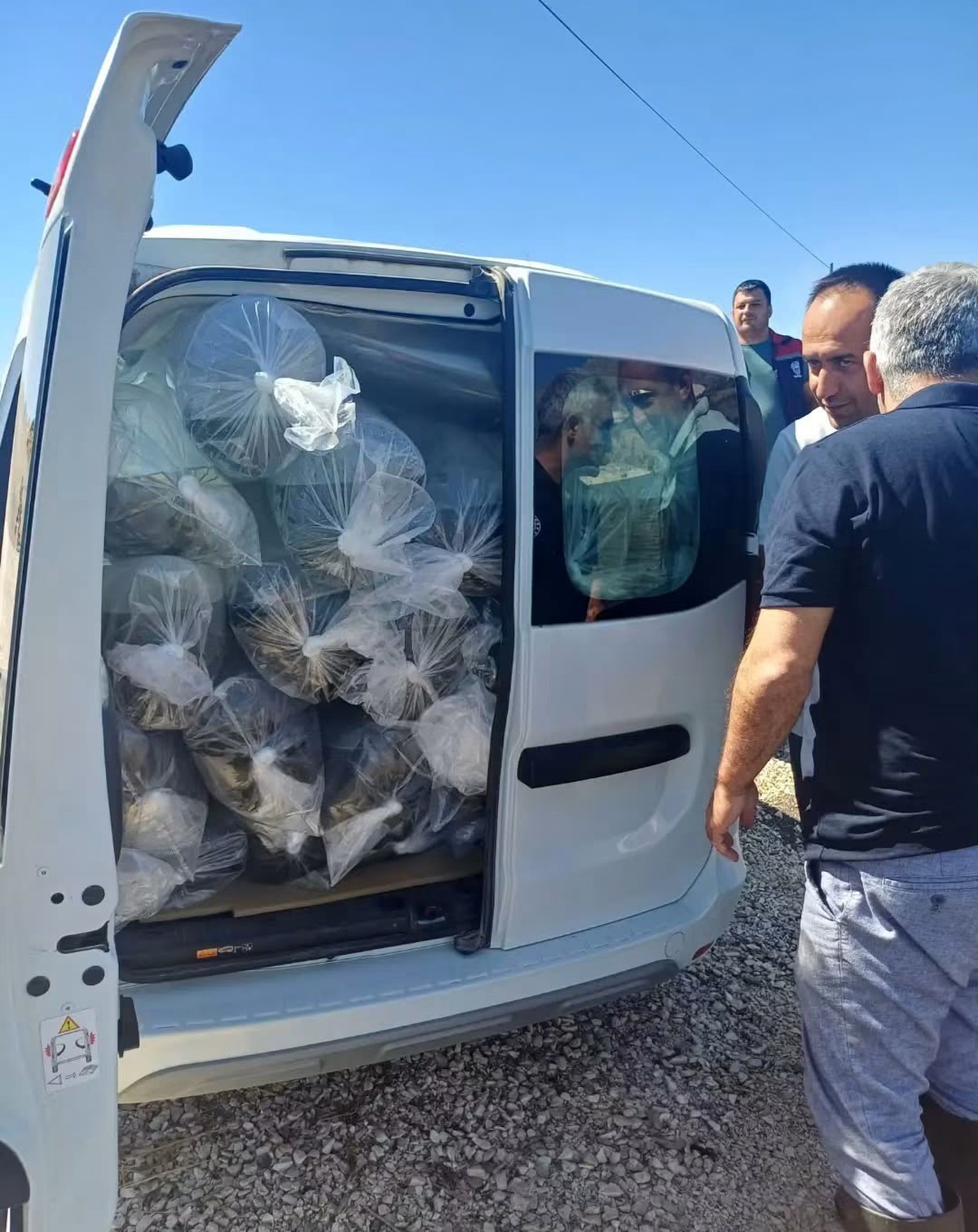 Burdur\'da Yavru Sazan Bırakıldı