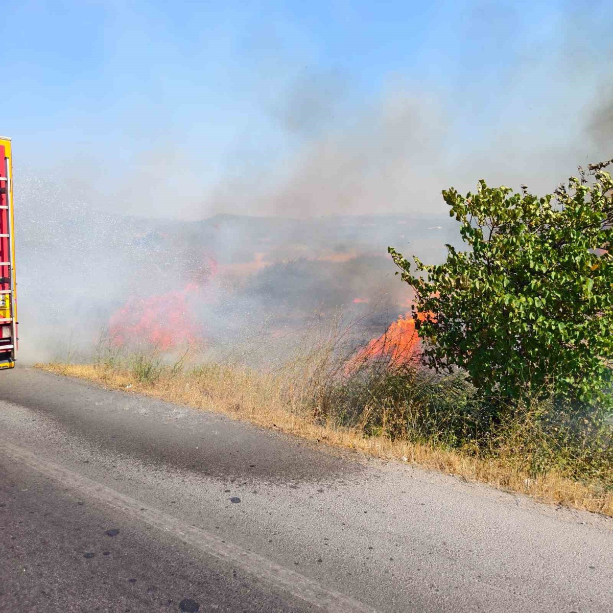 Burhaniye\'de Ot Yangını Söndürüldü