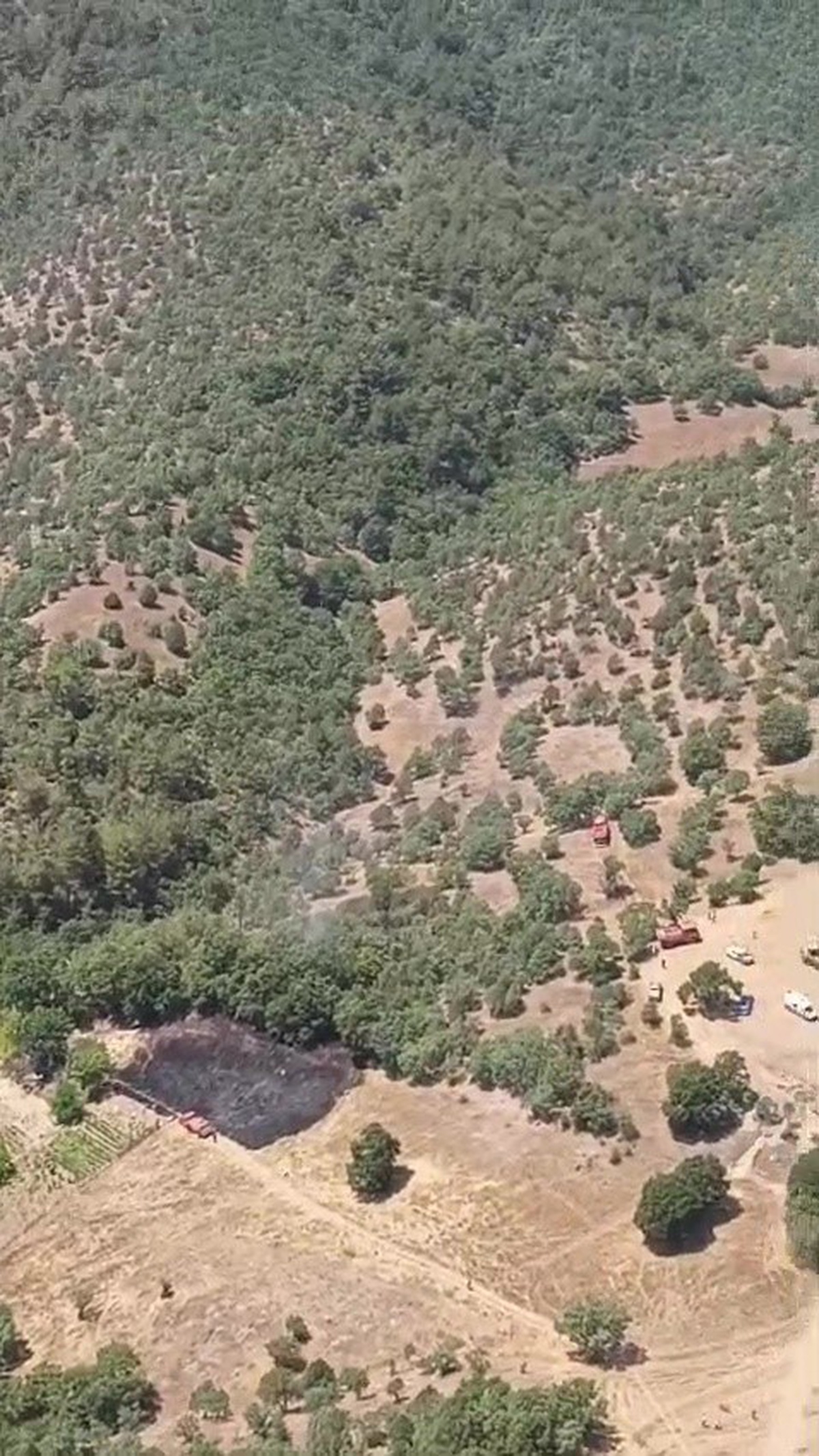 Büyükorhan\'daki Orman Yangını Kontrol Altında