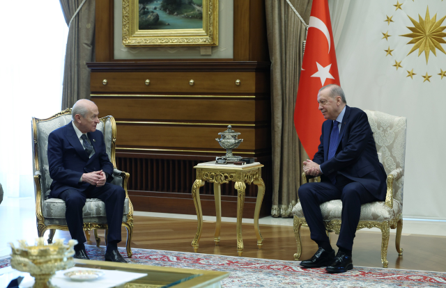 Cumhurbaşkanı Erdoğan, Bahçeli ile görüştü! Masada tek konu vardı
