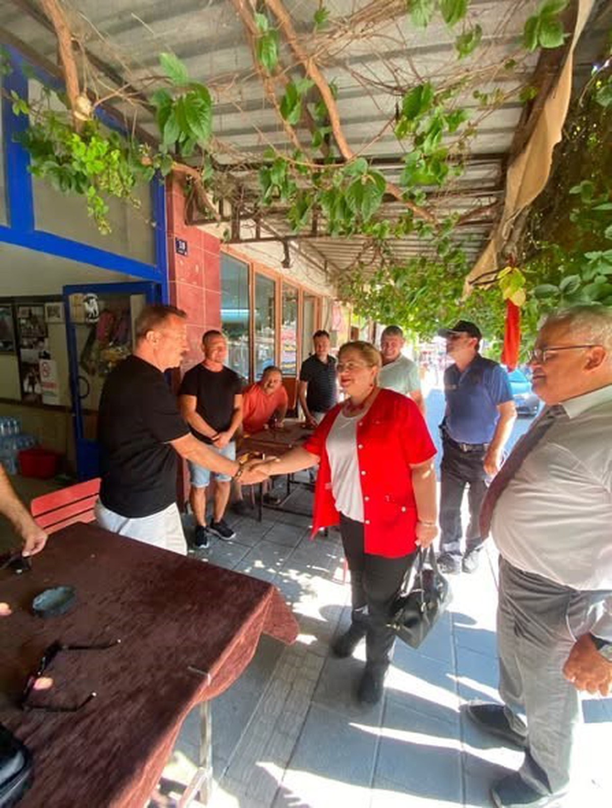 Germencik\'te Dumansız Hava Sahası Denetimi
