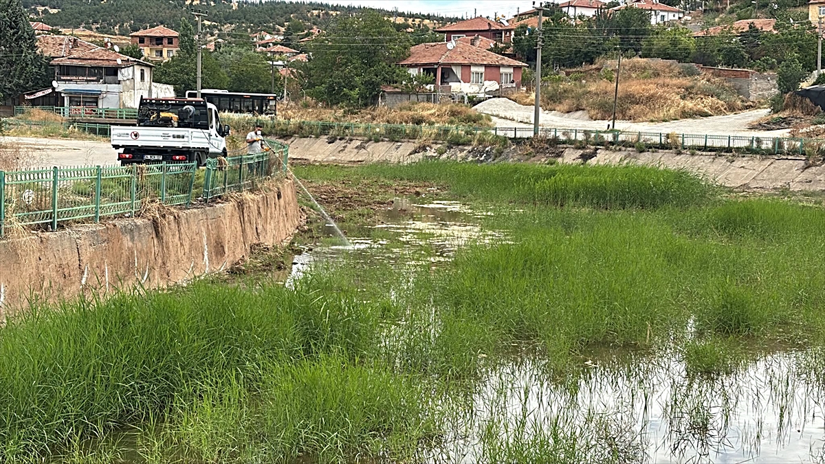 Kırıkkale\'de Haşere İlaçlama Çalışmaları Başladı