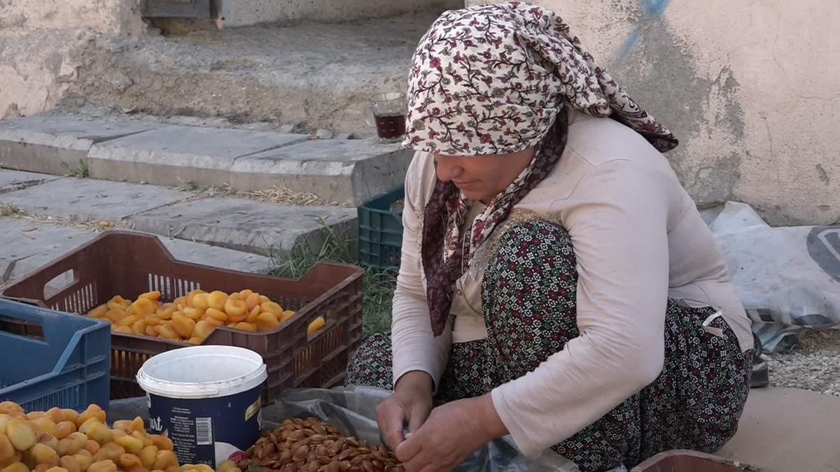 Kayısı Üreticileri Yükselen Maliyetlere Tepki Gösterdi
