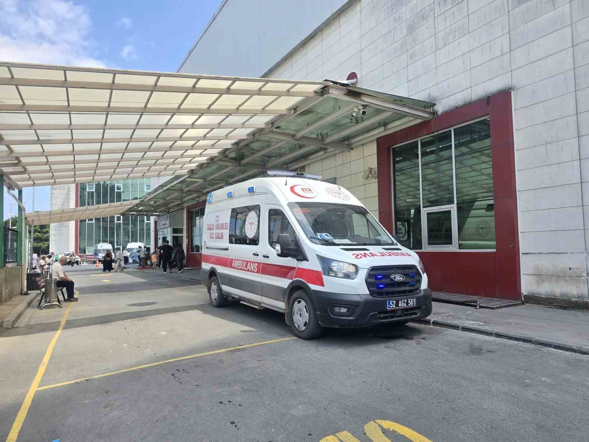 Topladıkları mantardan zehirlenen yaşlı çiftin durumu ağır