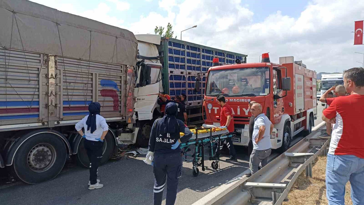 Tavuk yüklü tır, önündeki kamyona çarptı: 2 yaralı