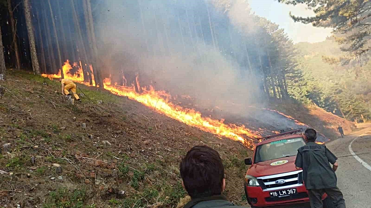 Bursa\'da Orman Yangınına Müdahale Devam Ediyor