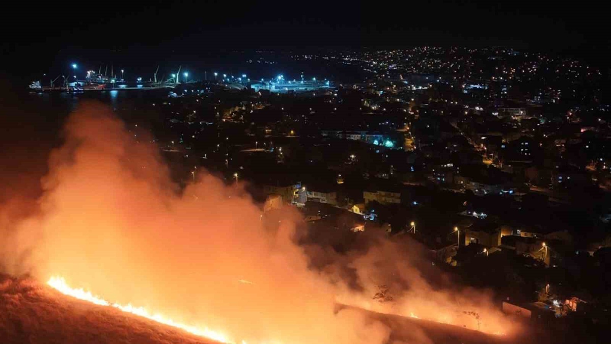 Tekirdağ\'da Yangın Kontrol Altına Alındı