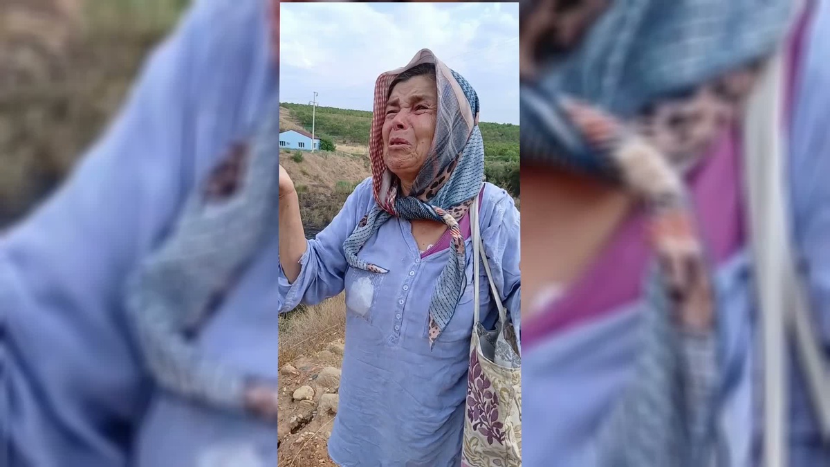 Aydın\'da Zirai Yangın: 50 Dekar Arazi Yandı
