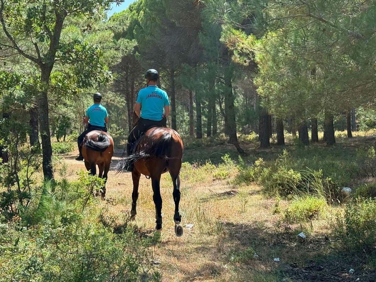 Çanakkale\'de Dev Yangınlar: 541 Hektar Zarar