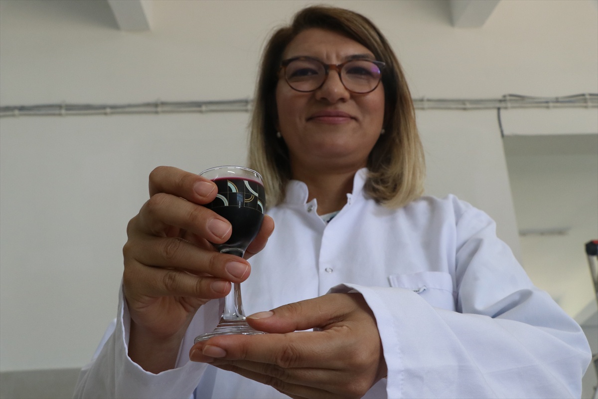 Yalova\'da Meyve Suyu Tesisi Açıldı