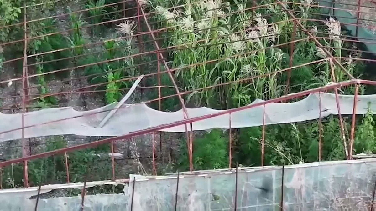 Urla\'da Uyuşturucu Operasyonu: Bir Tutuklama