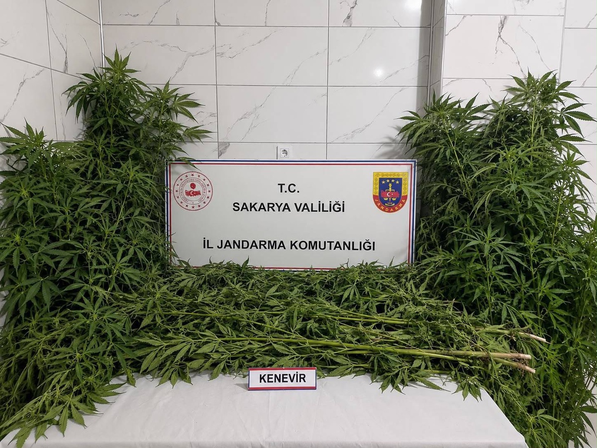 Sakarya\'da Uyuşturucu Operasyonu: 3 Tutuklama