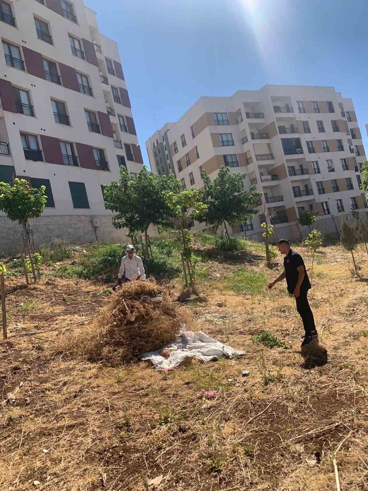 Kilis\'te Baraj Temizliği