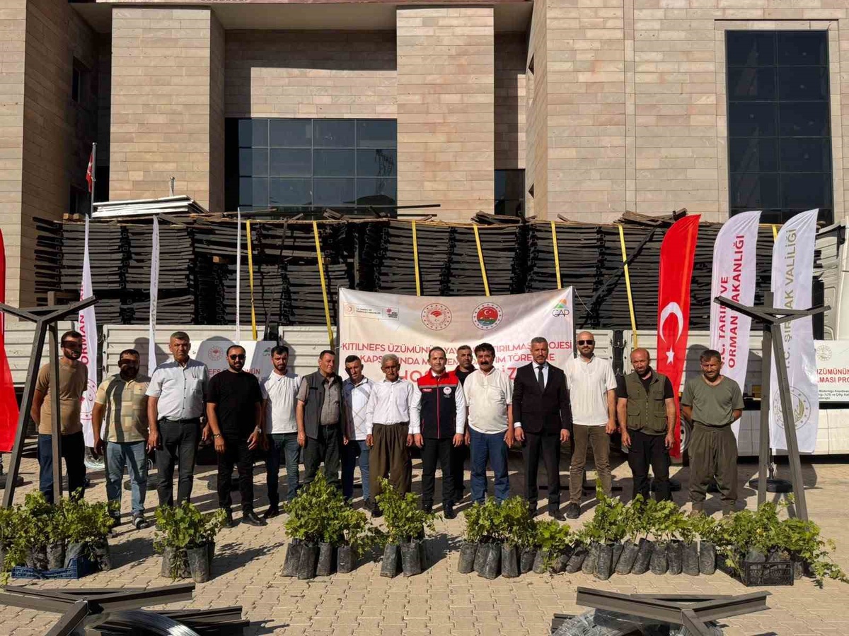 Kıtılnefs Üzümü Projesi Uludere\'de Başladı