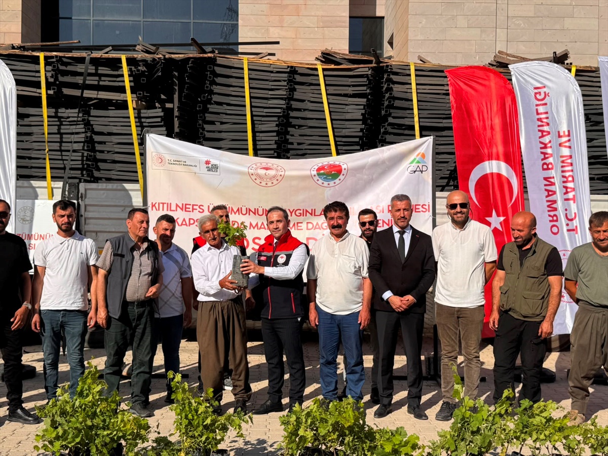 Uludere\'de Üreticilere Fidan ve Ekipman Desteği