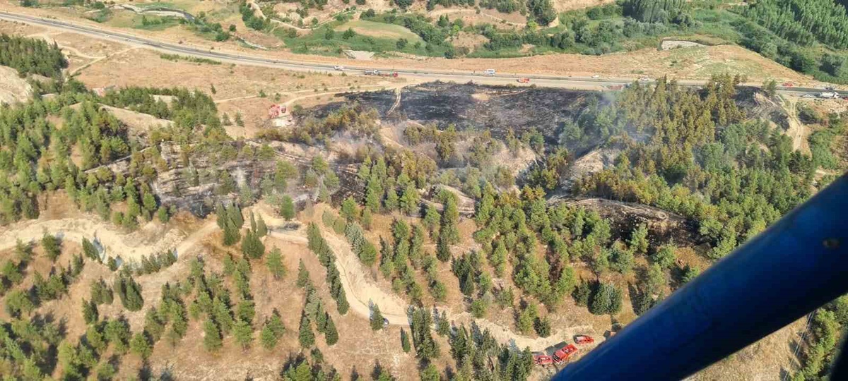 Yol kenarında başlayıp ormana sıçrayan yangın hızlı ve etkin müdahaleyle büyümeden söndürüldü