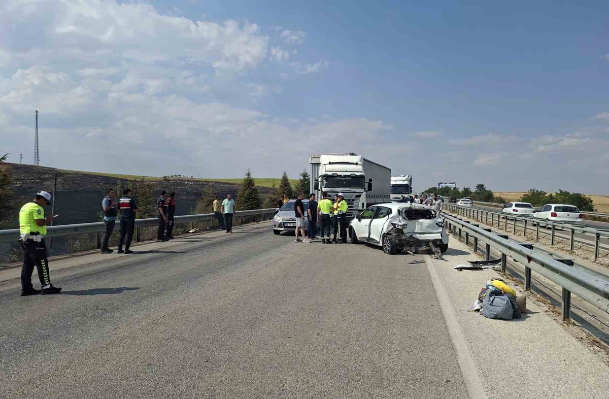 Anız Yangını Trafik Kazasına Neden Oldu