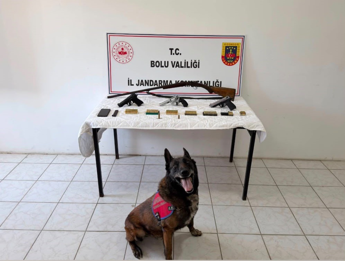 Bolu\'da 3 Tabanca ve Av Tüfeği Bulundu, Şüpheli Tutuklandı